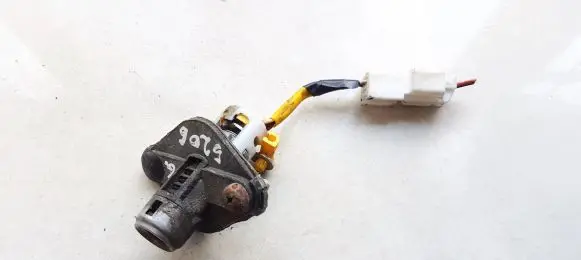 KIA Carnival Tailgate exterior lock 