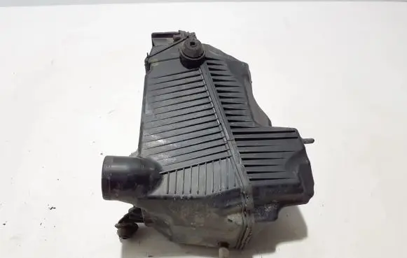 Renault Kangoo II Air filter box 165003318R
