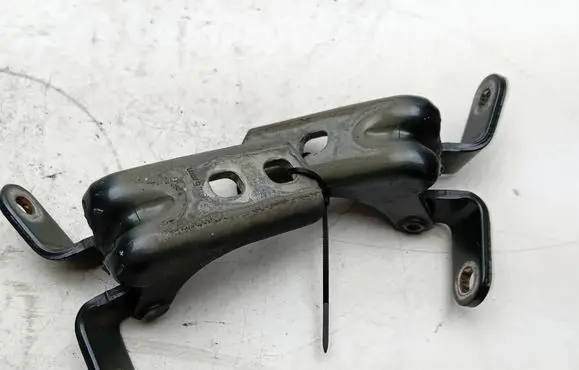 Opel Ampera Front door lower hinge 