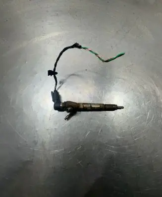 Renault Scenic III - Grand scenic III Fuel injector H8201100113 166006212R A3950