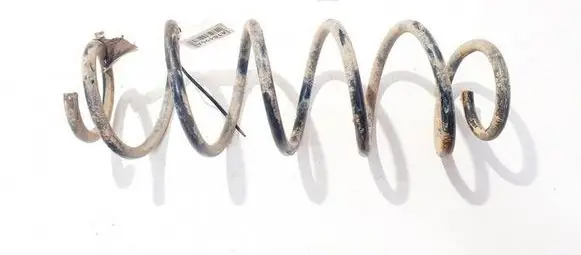 Rear coil spring