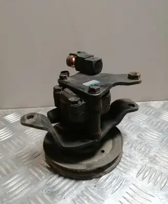 Nissan Terrano Power steering pump 491107F005