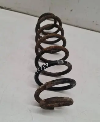 Volkswagen Jetta V Rear coil spring