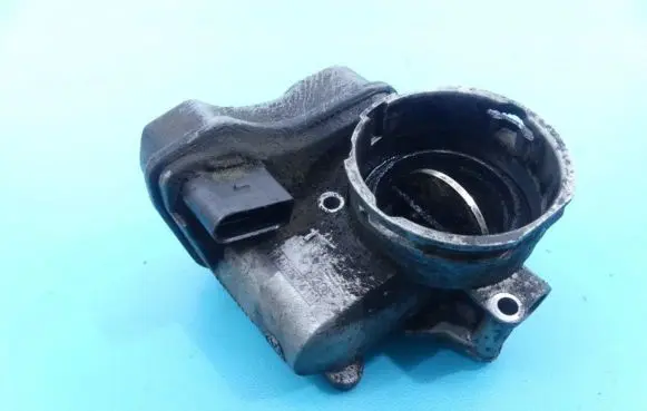 Throttle body valve