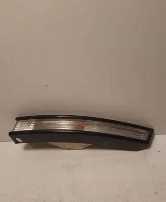 Volkswagen PASSAT B6 Front indicator light 3C0953041E