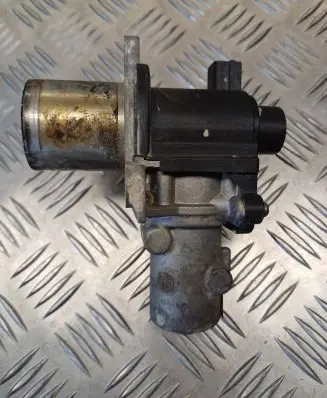 EGR valve