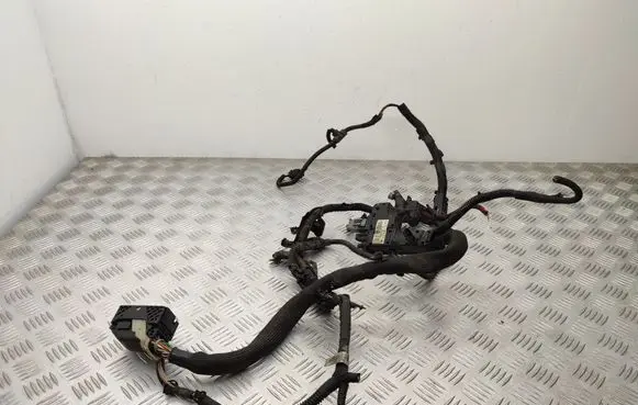 Citroen Berlingo Engine installation wiring loom 22802902
