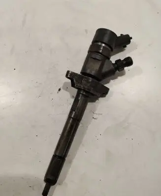 Citroen Berlingo Fuel injector 0445110239