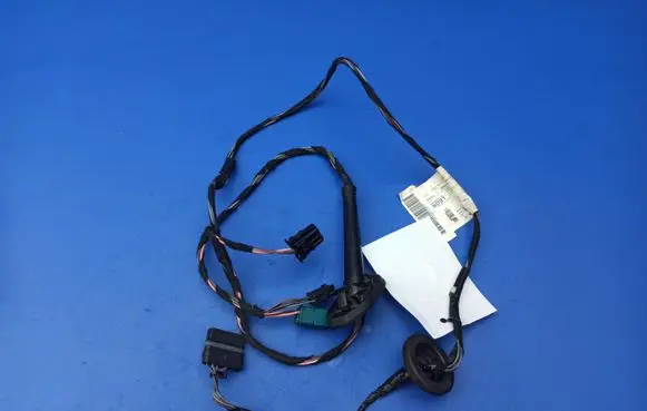 Rear door wiring loom