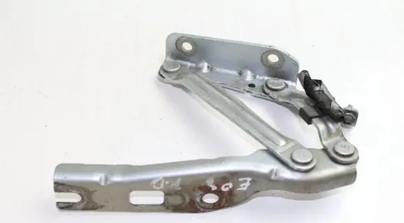 Volkswagen Eos Engine bonnet/hood hinges 1Q0823302