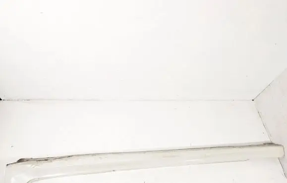 BMW 5 G30 G31 Sill 8064743