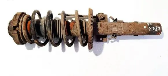 Skoda Roomster (5J) Front shock absorber/damper 