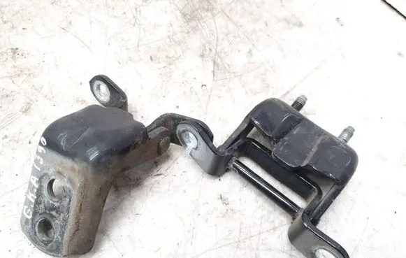 Renault Koleos I Rear door hinge set TEGXA