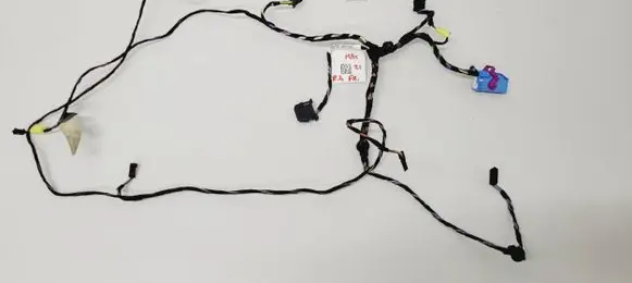 Front door wiring loom