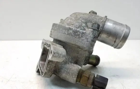 Thermostat/thermostat housing