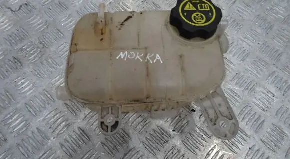 Opel Mokka Coolant expansion tank/reservoir 95380033