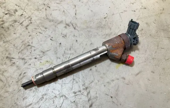 Peugeot Partner III Fuel injector 0445110955 9828959880