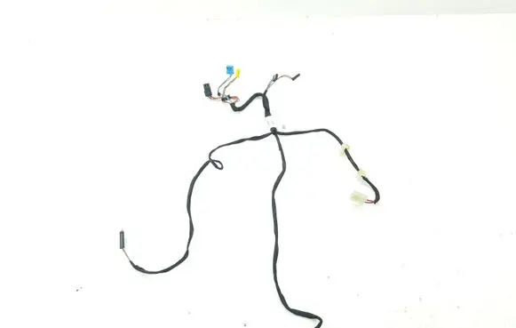 Mercedes-Benz S W220 Rear door wiring loom 171199Q04 2205404508