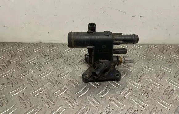 Thermostat/thermostat housing