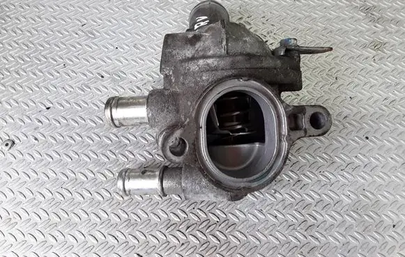 Thermostat/thermostat housing