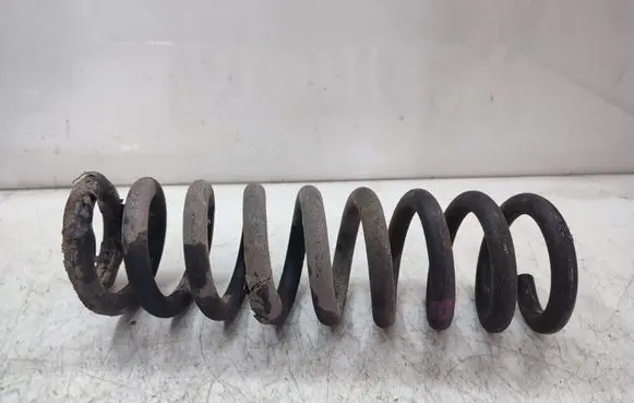 Rear coil spring
