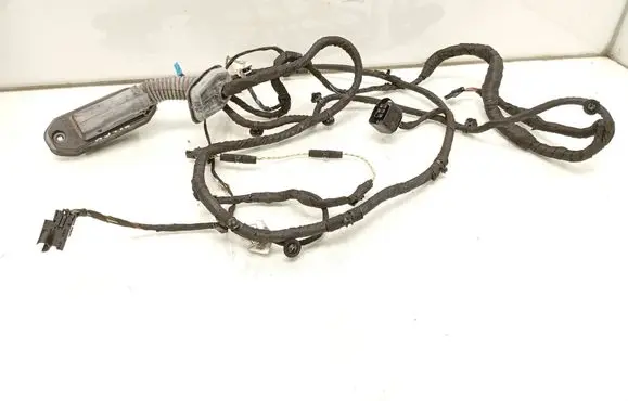 Front door wiring loom