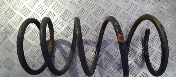 Rear coil spring