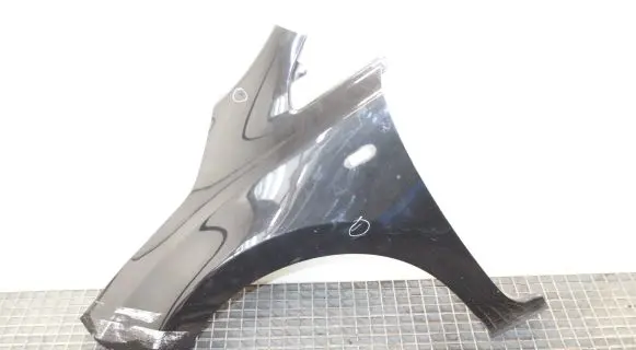 Nissan Leaf I (ZE0) Fender