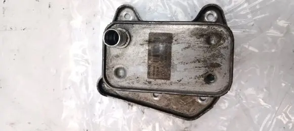Mercedes-Benz C W204 Engine oil radiator H1148000 6461880301 A6461880301