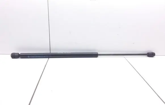 Tailgate/trunk strut/damper