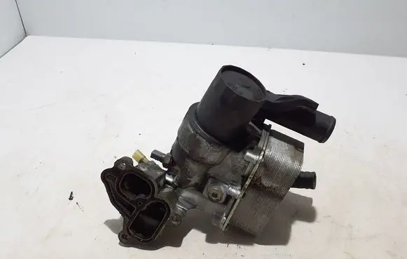 Renault Trafic III (X82) Oil filter mounting bracket 152084648R