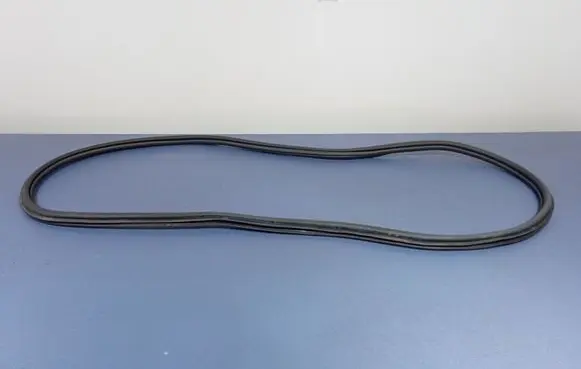 Seat Arona Front door rubber seal 
