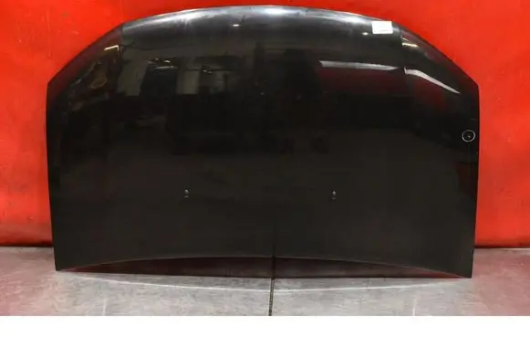 Dacia Logan Pick-Up Engine bonnet/hood 