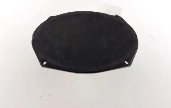 Chrysler Voyager Front door speaker 05091019AB