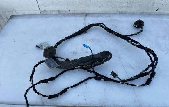 BMW 3 E90 E91 Front door wiring loom 6938218 E90E91 11107811