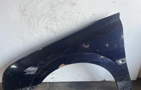 Opel Signum Fender