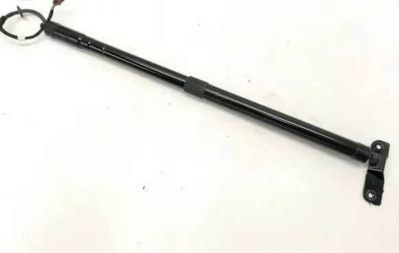 Ford C-MAX II Tailgate/trunk strut/damper AM51R444A18BF AM51R404C84AG