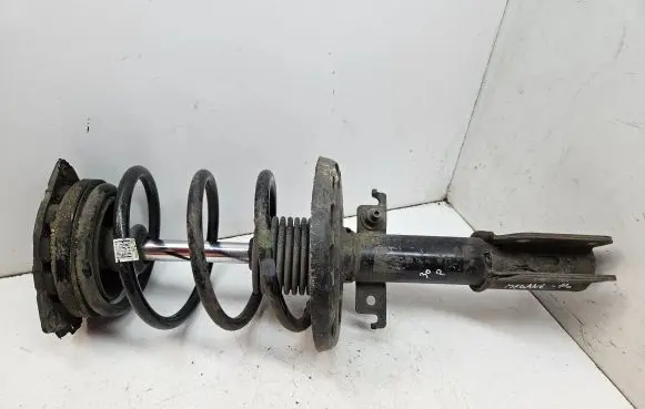 Renault Megane III Front shock absorber/damper 543020008R