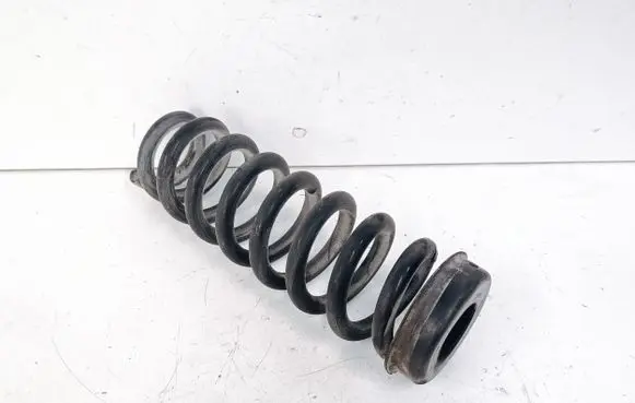 BMW X1 E84 Rear coil spring
