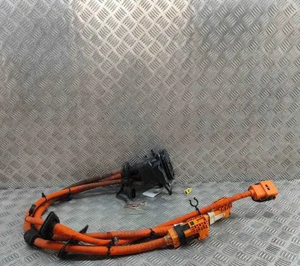 Audi e-tron Electric car charging cable 4KL971093L