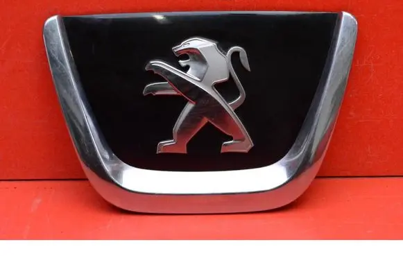 Peugeot 308 Front grill AA3563161300