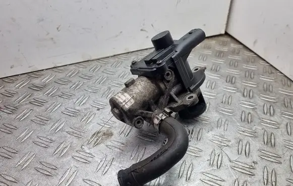 Renault Scenic III - Grand scenic III EGR valve 70036814