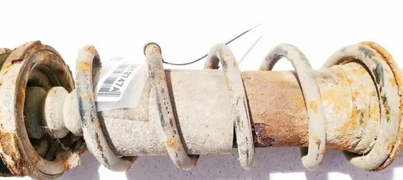Rear coil spring