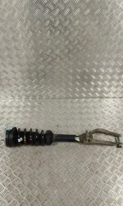 Jaguar F-Pace Front shock absorber with coil spring HK8318B036MF