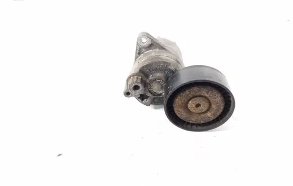 Mercedes-Benz S W220 Alternator belt tensioner A6112000570
