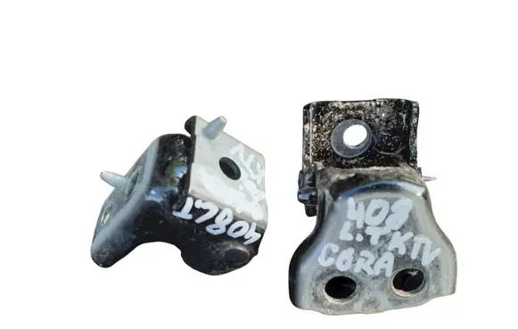 Peugeot 408 II Rear door hinge set 