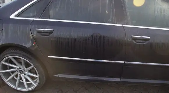 Audi A8 S8 D3 4E Rear door LZ9YNIELONG