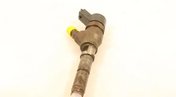 Citroen Berlingo Fuel injector 0445110062