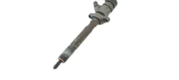 Ford C-MAX I Fuel injector 0445110 0445110188 892080