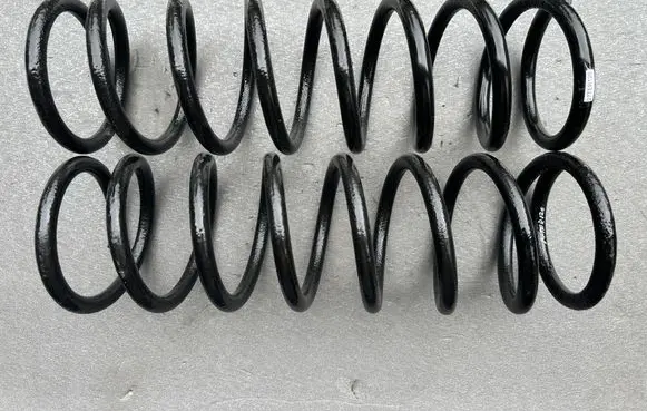 Rear coil spring